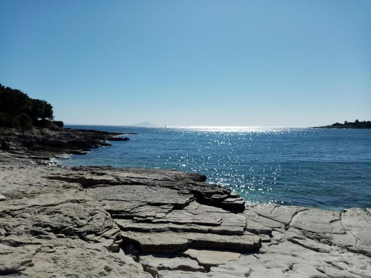 Kuca Za Odmor Dean Βίλα Pavicini Εξωτερικό φωτογραφία